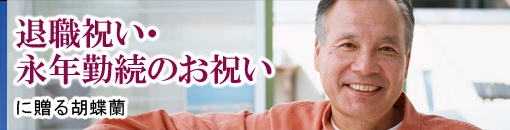 �࿦�ˤ�����ǯ��³�Τ��ˤ���£���ĳ��