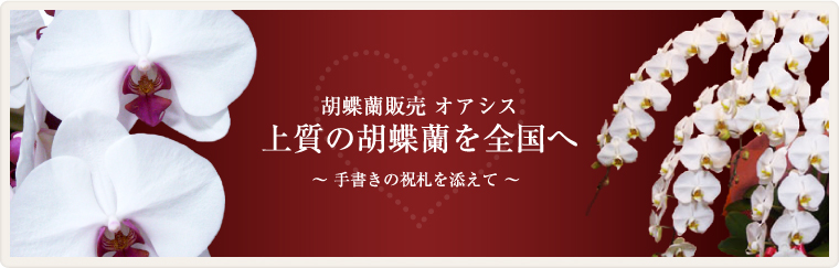 ��ĳ������ �������� ����θ�ĳ��������� �� ��񤭤ν˻���ź���� ��