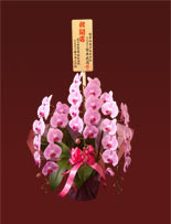 木札(コンパクト)