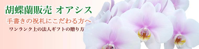 胡蝶蘭販売のオアシス