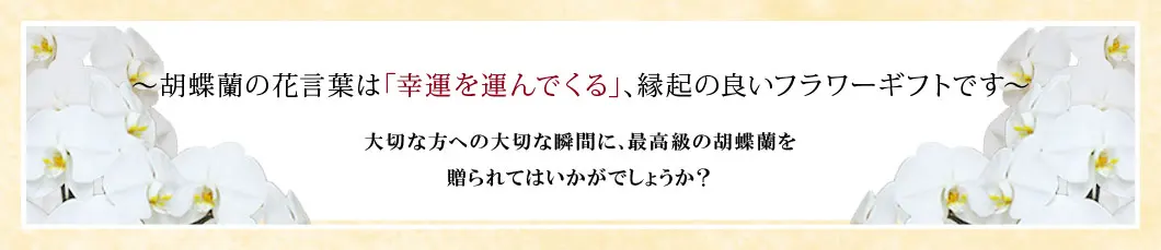 〜胡蝶蘭の花言葉は｢幸運を運んでくる｣､縁起の良いフラワーギフトです〜大切な方への大切な瞬間に､最高級の胡蝶蘭を贈られてはいかがでしょうか？