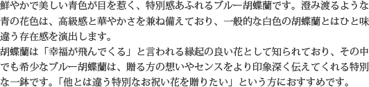 見た目もよく、全体的な輪数、ボリュームもあり、バランスのとれた商品です。開店祝い、開業祝い、就任祝い、移転祝い、竣工祝いなどのビジネスなどでのご利用で、法人様には人気があります。もちろん個人様へのさまざまなお祝い事にもご利用されています。ご予算3万円程度で、定番の「白色」をお探しの方にはおすすめの胡蝶蘭です。