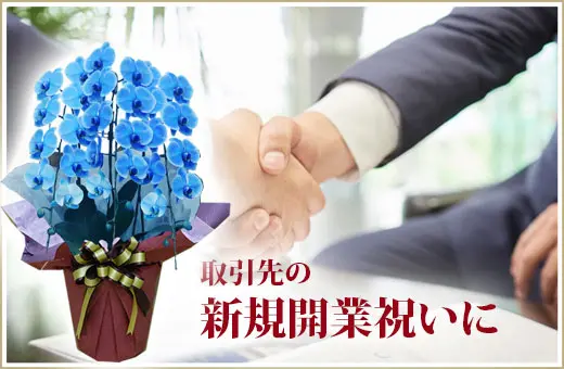 還暦などの長寿のお祝いに