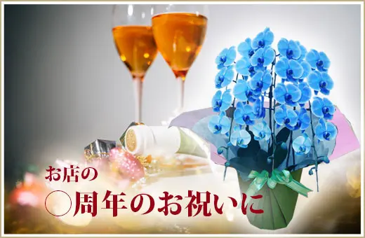 知人の楽屋見舞いに