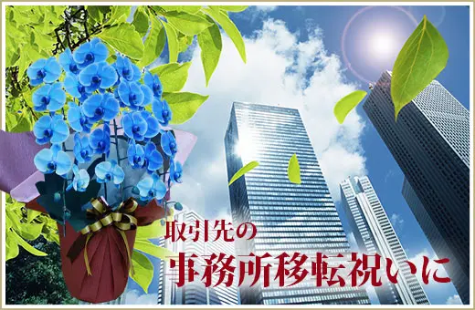取引先の新規開業祝いに