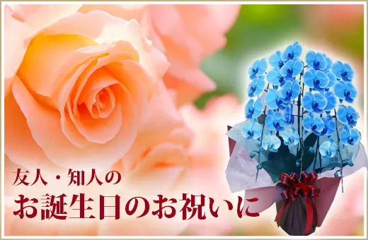 取引先の事務所移転祝に
