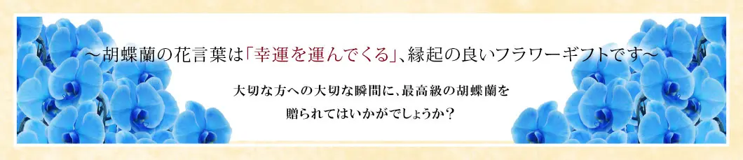〜胡蝶蘭の花言葉は「幸運を運んでくる」、縁起の良いフラワーギフトです〜大切な方への大切な瞬間に、最高級の胡蝶蘭を贈られてはいかがでしょうか?