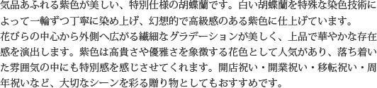 見た目もよく、全体的な輪数、ボリュームもあり、バランスのとれた商品です。開店祝い、開業祝い、就任祝い、移転祝い、竣工祝いなどのビジネスなどでのご利用で、法人様には人気があります。もちろん個人様へのさまざまなお祝い事にもご利用されています。ご予算3万円程度で、定番の「白色」をお探しの方にはおすすめの胡蝶蘭です。
