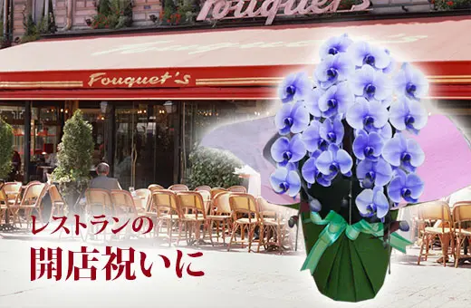 知人の楽屋見舞いに