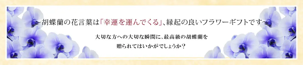 〜胡蝶蘭の花言葉は「幸運を運んでくる」、縁起の良いフラワーギフトです〜大切な方への大切な瞬間に、最高級の胡蝶蘭を贈られてはいかがでしょうか?