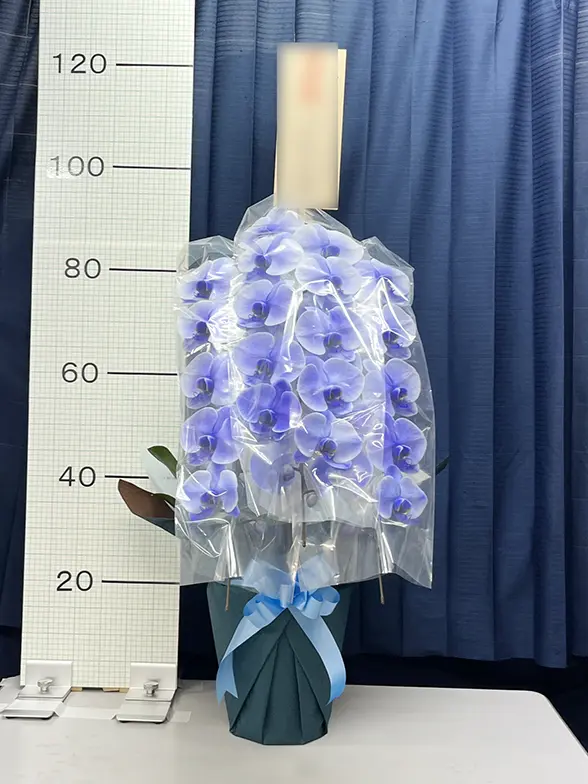 これまでにお届けした事例2 3本立胡蝶蘭ギフト(パープルエレガンス)