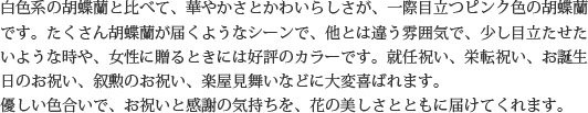 見た目もよく､全体的な輪数､ボリュームもあり､バランスのとれた商品です｡開店祝い､開業祝い､就任祝い､移転祝い､竣工祝いなどのビジネスなどでのご利用で､法人様には人気があります｡もちろん個人様へのさまざまなお祝い事にもご利用されています｡ご予算3万円程度で､定番の｢白色｣をお探しの方にはおすすめの胡蝶蘭です｡