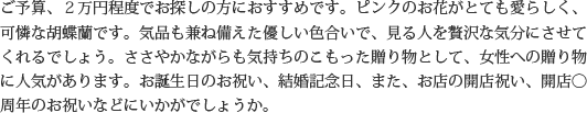 見た目もよく､全体的な輪数､ボリュームもあり､バランスのとれた商品です｡開店祝い､開業祝い､就任祝い､移転祝い､竣工祝いなどのビジネスなどでのご利用で､法人様には人気があります｡もちろん個人様へのさまざまなお祝い事にもご利用されています｡ご予算3万円程度で､定番の｢白色｣をお探しの方にはおすすめの胡蝶蘭です｡