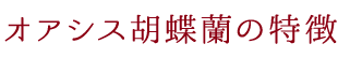 オアシス胡蝶蘭の特徴