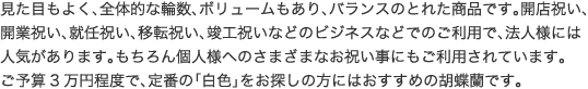 見た目もよく､全体的な輪数､ボリュームもあり､バランスのとれた商品です｡開店祝い､開業祝い､就任祝い､移転祝い､竣工祝いなどのビジネスなどでのご利用で､法人様には人気があります｡もちろん個人様へのさまざまなお祝い事にもご利用されています｡ご予算3万円程度で､定番の｢白色｣をお探しの方にはおすすめの胡蝶蘭です｡