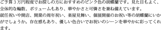 見た目もよく､全体的な輪数､ボリュームもあり､バランスのとれた商品です｡開店祝い､開業祝い､就任祝い､移転祝い､竣工祝いなどのビジネスなどでのご利用で､法人様には人気があります｡もちろん個人様へのさまざまなお祝い事にもご利用されています｡ご予算3万円程度で､定番の｢白色｣をお探しの方にはおすすめの胡蝶蘭です｡