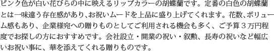 見た目もよく､全体的な輪数､ボリュームもあり､バランスのとれた商品です｡開店祝い､開業祝い､就任祝い､移転祝い､竣工祝いなどのビジネスなどでのご利用で､法人様には人気があります｡もちろん個人様へのさまざまなお祝い事にもご利用されています｡ご予算3万円程度で､定番の｢白色｣をお探しの方にはおすすめの胡蝶蘭です｡