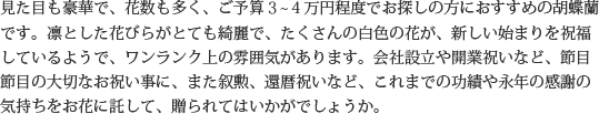 見た目もよく､全体的な輪数､ボリュームもあり､バランスのとれた商品です｡開店祝い､開業祝い､就任祝い､移転祝い､竣工祝いなどのビジネスなどでのご利用で､法人様には人気があります｡もちろん個人様へのさまざまなお祝い事にもご利用されています｡ご予算3万円程度で､定番の｢白色｣をお探しの方にはおすすめの胡蝶蘭です｡