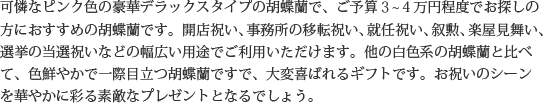 見た目もよく､全体的な輪数､ボリュームもあり､バランスのとれた商品です｡開店祝い､開業祝い､就任祝い､移転祝い､竣工祝いなどのビジネスなどでのご利用で､法人様には人気があります｡もちろん個人様へのさまざまなお祝い事にもご利用されています｡ご予算3万円程度で､定番の｢白色｣をお探しの方にはおすすめの胡蝶蘭です｡