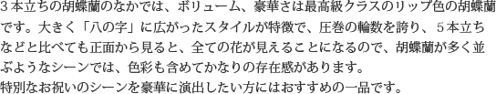 見た目もよく､全体的な輪数､ボリュームもあり､バランスのとれた商品です｡開店祝い､開業祝い､就任祝い､移転祝い､竣工祝いなどのビジネスなどでのご利用で､法人様には人気があります｡もちろん個人様へのさまざまなお祝い事にもご利用されています｡ご予算3万円程度で､定番の｢白色｣をお探しの方にはおすすめの胡蝶蘭です｡