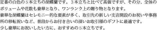 見た目もよく､全体的な輪数､ボリュームもあり､バランスのとれた商品です｡開店祝い､開業祝い､就任祝い､移転祝い､竣工祝いなどのビジネスなどでのご利用で､法人様には人気があります｡もちろん個人様へのさまざまなお祝い事にもご利用されています｡ご予算3万円程度で､定番の｢白色｣をお探しの方にはおすすめの胡蝶蘭です｡
