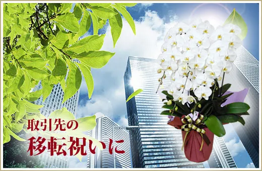 取引先の移転祝いに