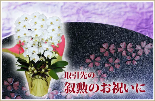 取引先の叙勲祝いに