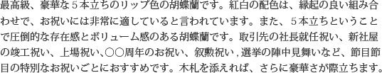 見た目もよく､全体的な輪数､ボリュームもあり､バランスのとれた商品です｡開店祝い､開業祝い､就任祝い､移転祝い､竣工祝いなどのビジネスなどでのご利用で､法人様には人気があります｡もちろん個人様へのさまざまなお祝い事にもご利用されています｡ご予算3万円程度で､定番の｢白色｣をお探しの方にはおすすめの胡蝶蘭です｡