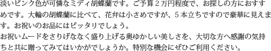 見た目もよく､全体的な輪数､ボリュームもあり､バランスのとれた商品です｡開店祝い､開業祝い､就任祝い､移転祝い､竣工祝いなどのビジネスなどでのご利用で､法人様には人気があります｡もちろん個人様へのさまざまなお祝い事にもご利用されています｡ご予算3万円程度で､定番の｢白色｣をお探しの方にはおすすめの胡蝶蘭です｡