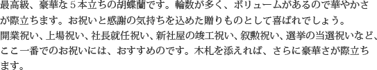 見た目もよく､全体的な輪数､ボリュームもあり､バランスのとれた商品です｡開店祝い､開業祝い､就任祝い､移転祝い､竣工祝いなどのビジネスなどでのご利用で､法人様には人気があります｡もちろん個人様へのさまざまなお祝い事にもご利用されています｡ご予算3万円程度で､定番の｢白色｣をお探しの方にはおすすめの胡蝶蘭です｡