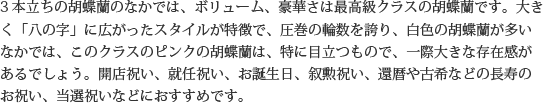 見た目もよく､全体的な輪数､ボリュームもあり､バランスのとれた商品です｡開店祝い､開業祝い､就任祝い､移転祝い､竣工祝いなどのビジネスなどでのご利用で､法人様には人気があります｡もちろん個人様へのさまざまなお祝い事にもご利用されています｡ご予算3万円程度で､定番の｢白色｣をお探しの方にはおすすめの胡蝶蘭です｡