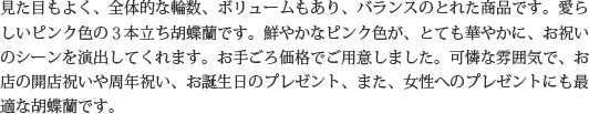 見た目もよく､全体的な輪数､ボリュームもあり､バランスのとれた商品です｡開店祝い､開業祝い､就任祝い､移転祝い､竣工祝いなどのビジネスなどでのご利用で､法人様には人気があります｡もちろん個人様へのさまざまなお祝い事にもご利用されています｡ご予算3万円程度で､定番の｢白色｣をお探しの方にはおすすめの胡蝶蘭です｡