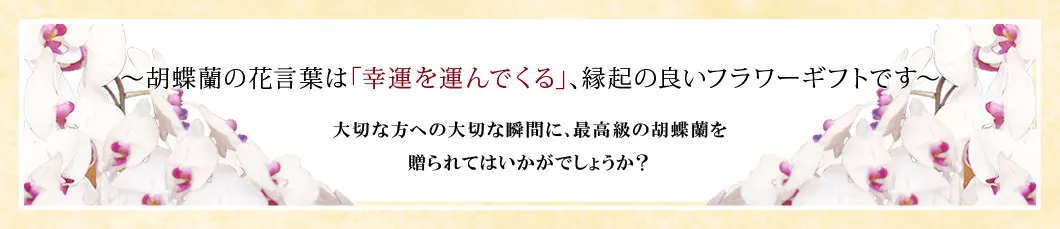 〜胡蝶蘭の花言葉は｢幸運を運んでくる｣､縁起の良いフラワーギフトです〜大切な方への大切な瞬間に､最高級の胡蝶蘭を贈られてはいかがでしょうか？