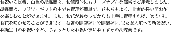 見た目もよく､全体的な輪数､ボリュームもあり､バランスのとれた商品です｡開店祝い､開業祝い､就任祝い､移転祝い､竣工祝いなどのビジネスなどでのご利用で､法人様には人気があります｡もちろん個人様へのさまざまなお祝い事にもご利用されています｡ご予算3万円程度で､定番の｢白色｣をお探しの方にはおすすめの胡蝶蘭です｡