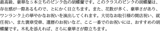 見た目もよく､全体的な輪数､ボリュームもあり､バランスのとれた商品です｡開店祝い､開業祝い､就任祝い､移転祝い､竣工祝いなどのビジネスなどでのご利用で､法人様には人気があります｡もちろん個人様へのさまざまなお祝い事にもご利用されています｡ご予算3万円程度で､定番の｢白色｣をお探しの方にはおすすめの胡蝶蘭です｡