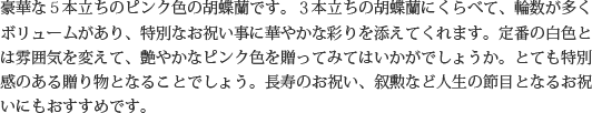 見た目もよく､全体的な輪数､ボリュームもあり､バランスのとれた商品です｡開店祝い､開業祝い､就任祝い､移転祝い､竣工祝いなどのビジネスなどでのご利用で､法人様には人気があります｡もちろん個人様へのさまざまなお祝い事にもご利用されています｡ご予算3万円程度で､定番の｢白色｣をお探しの方にはおすすめの胡蝶蘭です｡