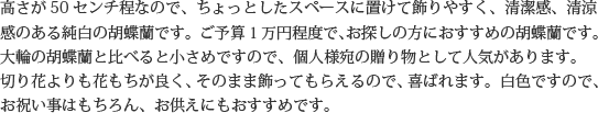 見た目もよく､全体的な輪数､ボリュームもあり､バランスのとれた商品です｡開店祝い､開業祝い､就任祝い､移転祝い､竣工祝いなどのビジネスなどでのご利用で､法人様には人気があります｡もちろん個人様へのさまざまなお祝い事にもご利用されています｡ご予算3万円程度で､定番の｢白色｣をお探しの方にはおすすめの胡蝶蘭です｡