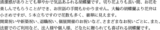 見た目もよく､全体的な輪数､ボリュームもあり､バランスのとれた商品です｡開店祝い､開業祝い､就任祝い､移転祝い､竣工祝いなどのビジネスなどでのご利用で､法人様には人気があります｡もちろん個人様へのさまざまなお祝い事にもご利用されています｡ご予算3万円程度で､定番の｢白色｣をお探しの方にはおすすめの胡蝶蘭です｡