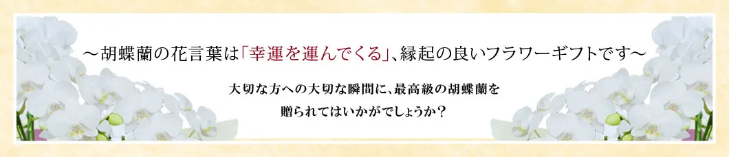 〜胡蝶蘭の花言葉は｢幸運を運んでくる｣､縁起の良いフラワーギフトです〜大切な方への大切な瞬間に､最高級の胡蝶蘭を贈られてはいかがでしょうか？