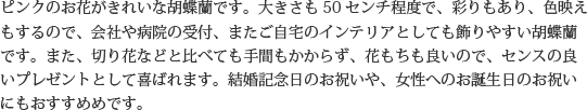 見た目もよく､全体的な輪数､ボリュームもあり､バランスのとれた商品です｡開店祝い､開業祝い､就任祝い､移転祝い､竣工祝いなどのビジネスなどでのご利用で､法人様には人気があります｡もちろん個人様へのさまざまなお祝い事にもご利用されています｡ご予算3万円程度で､定番の｢白色｣をお探しの方にはおすすめの胡蝶蘭です｡