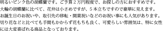 明るいピンク色の胡蝶蘭です。ご予算２万円程度で、お探しの方におすすめです。大輪の胡蝶蘭に比べて、花弁は小さめですが、5本立ちですので豪華に見えます。お誕生日のお祝いや、取引先の移転・開業祝いなどのお祝い事にも人気があります。切り花などと比べても手間もかからず花もちも良く、可愛らしい雰囲気は、特に女性には大変喜ばれる商品となっております。