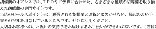 見た目もよく､全体的な輪数､ボリュームもあり､バランスのとれた商品です｡開店祝い､開業祝い､就任祝い､移転祝い､竣工祝いなどのビジネスなどでのご利用で､法人様には人気があります｡もちろん個人様へのさまざまなお祝い事にもご利用されています｡ご予算3万円程度で､定番の｢白色｣をお探しの方にはおすすめの胡蝶蘭です｡