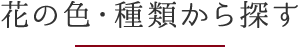 花の色・種類から探す