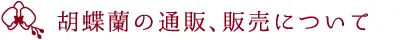 胡蝶蘭の通販、販売について