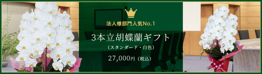 法人様部門人気No.1 3本立胡蝶蘭ギフト(スタンダード・白色)27,000円(税込)