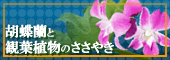胡蝶蘭と観葉植物のささやき