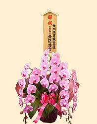 木札(入札レギュラー)