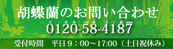 胡蝶蘭のお問い合わせ