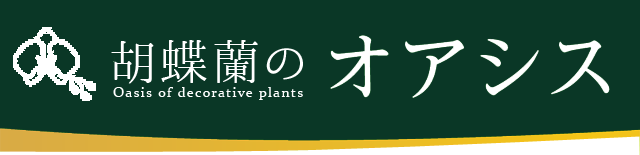胡蝶蘭のオアシス