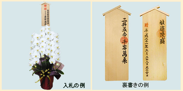 胡蝶蘭デラックス白色3本立/胡蝶蘭の販売、通販、お祝い、贈答 胡蝶蘭デラックス白色3本立/胡蝶蘭の販売、通販、お祝い、贈答